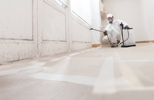24/7 Emergency Mold Testing experts in Reedville, VA